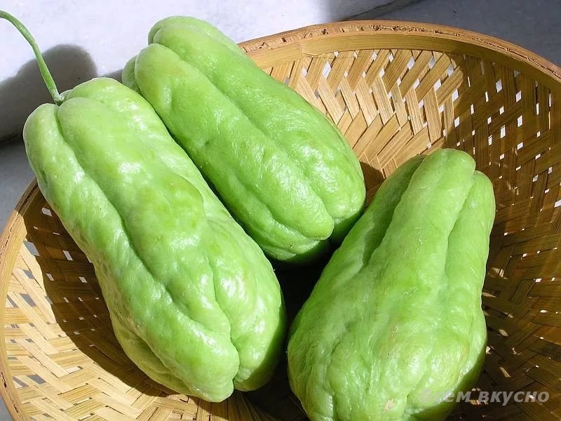 Чайот – тыква, покрытая шипами. » Всем вкусно! Кулинарные рецепты и советы