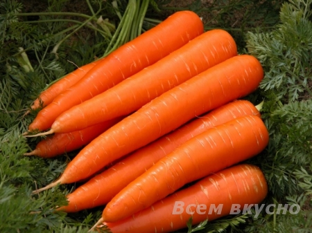 Морковь – лакомство гномов