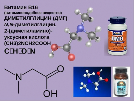 Витамин В16 (диметилглицин).